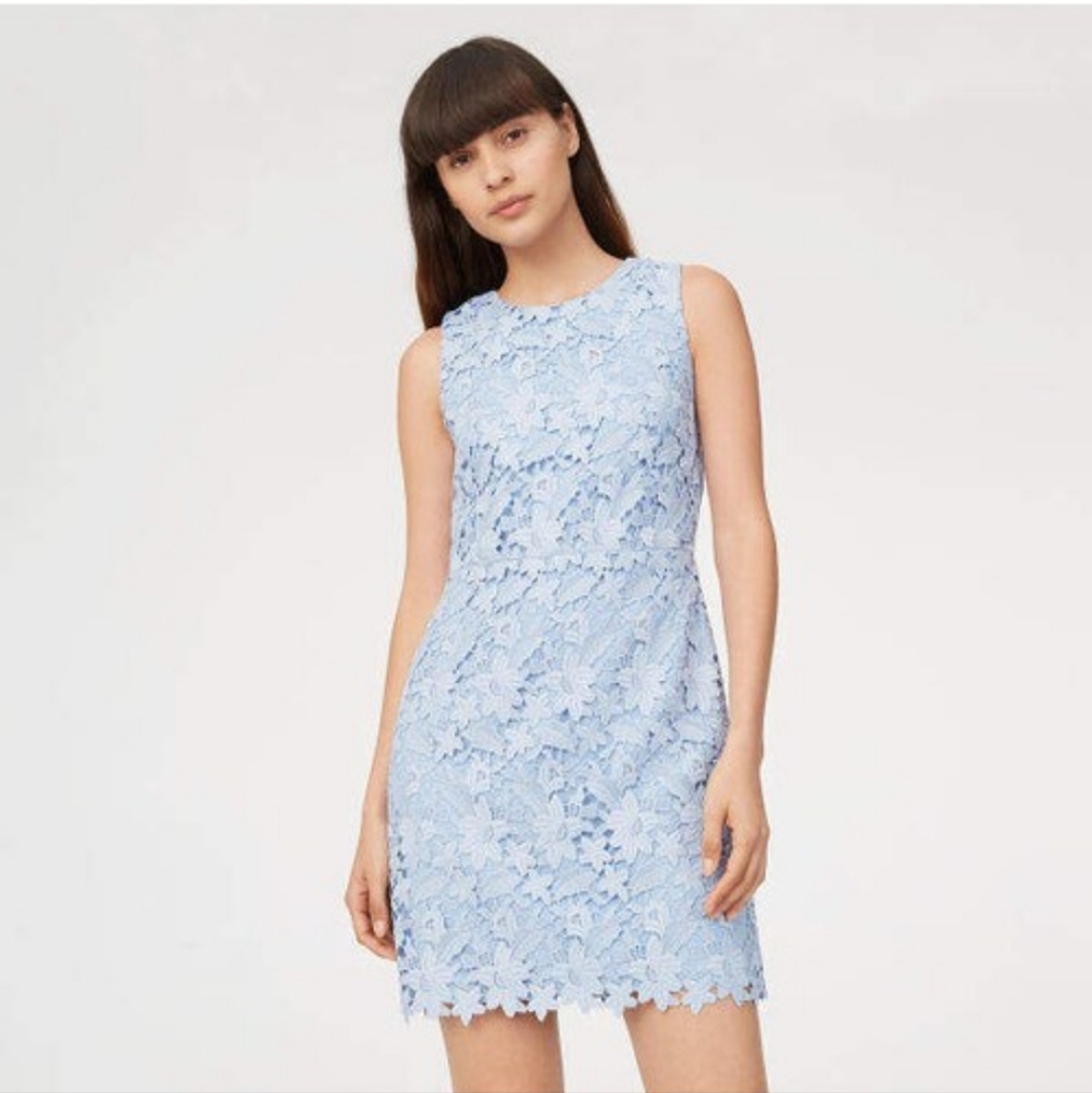 Club Monaco Light Blue Lace Sheath Dress